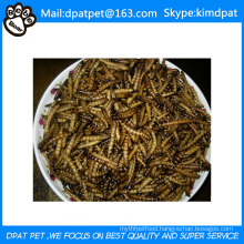 Bulk Dehydrated Food Factory Supply